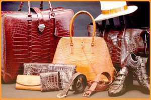 اسم خارجی برای مغازه کیف و کفش؛ اسمهایی که تا به حال نشنیدهاید!